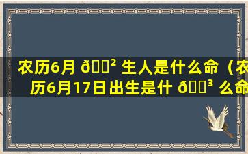 农历6月 🌲 生人是什么命（农历6月17日出生是什 🌳 么命）